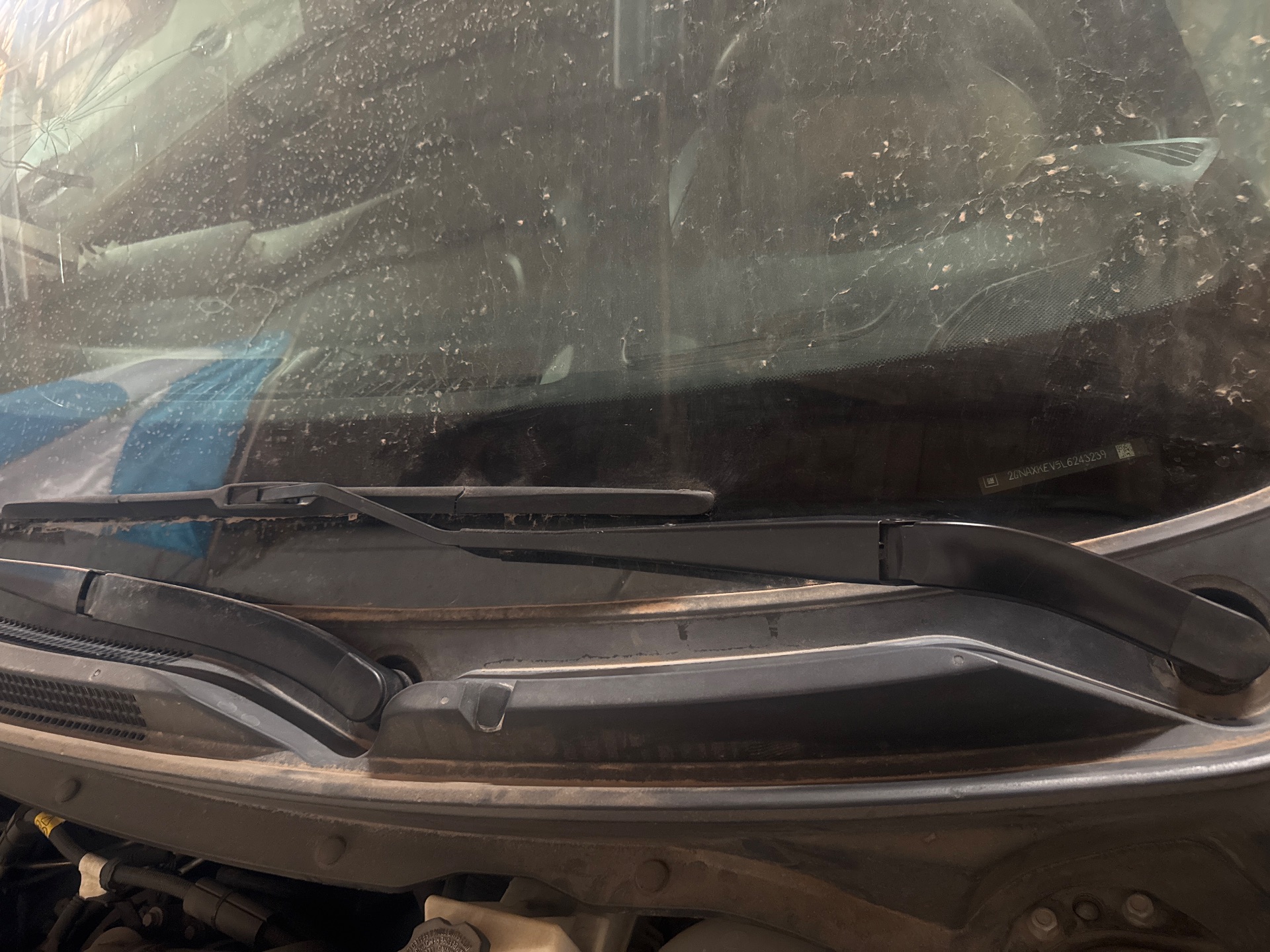 Parabrisas / Windshield CENTER front — 2020 CHEVROLET Equinox LT (1LT)